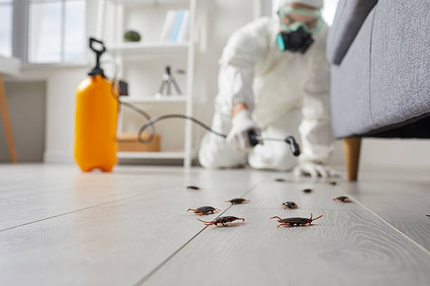 Trusted Cockroach Control service in McConnellsburg, PA - Nex Pest Control