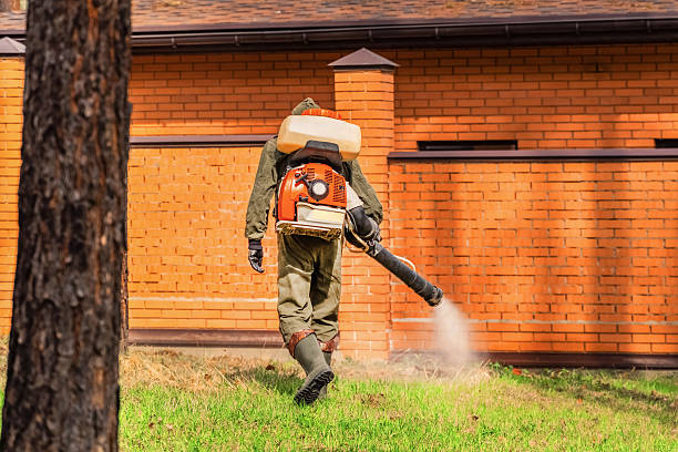 Trusted Ant Control service in McConnellsburg, PA - Nex Pest Control